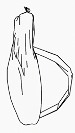 Sarbalc
